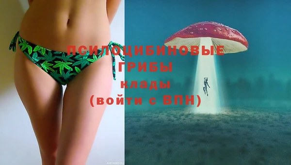 эйфоретик Алексеевка