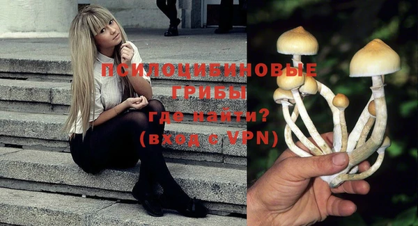 эйфоретик Алексеевка